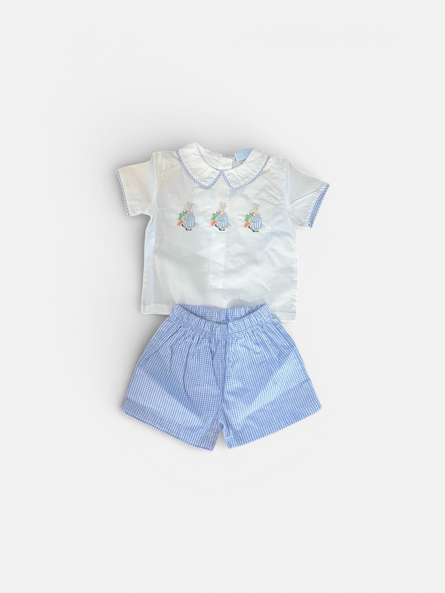 New boys 2pcs outfit